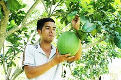 Quan tâm phát triển đảng viên người dân tộc thiểu số