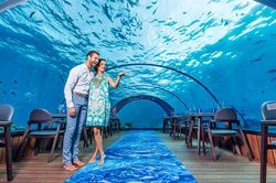 Thưởng thức bữa ăn trong lòng đại dương