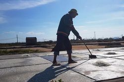 Đời muối, đời người
