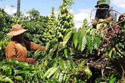 Mở một hướng đi