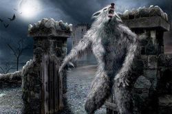 Bí ẩn quái thú vùng Gevaudan thích ăn thịt trẻ em và phụ nữ xuất hiện?