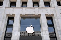 Apple bắt đầu sản xuất iPhone 11 tại Ấn Độ