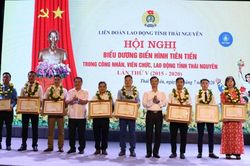 Thái Nguyên: Vinh danh 159 tập thể, cá nhân công nhân, viên chức, lao động