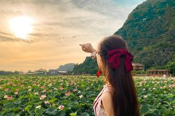 Đầm sen Hang Múa đẹp như tiên cảnh, giới trẻ đua nhau check in 'sống ảo'
