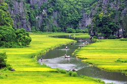 Tìm 'cơ' trong 'nguy'