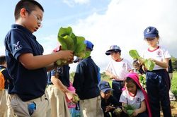 Giúp trẻ trải nghiệm cuộc sống