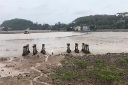 Hải Phòng - địa linh, nhân kiệt