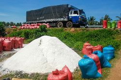 Muối Sa Huỳnh tồn kho ven quốc lộ