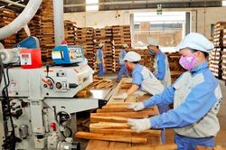 Kiểm soát chặt chẽ nguồn gốc gỗ