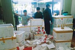 Thu giữ 370kg dâu tây Trung Quốc gắn mác Đà Lạt sắp tuồn ra chợ