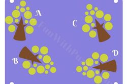 Thị lực 10/10 cũng khó tìm ra chi tiết khác biệt trong 15 giây