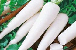 Mỗi ngày một củ 'nhân sâm mùa đông' giá rẻ bèo nhưng công dụng khiến ai cũng bất ngờ