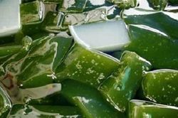 Dây sâm thanh nhiệt tốt trong mùa nóng