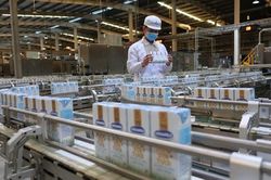 Thêm 1 nhà máy được cấp mã giao dịch xuất khẩu sữa sang Trung Quốc