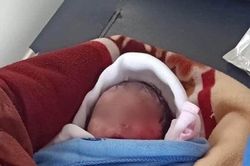 Xót thương bé gái sơ sinh bị bỏ rơi ở ruộng khoai nước trong tình trạng nhiễm trùng