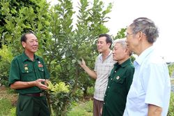 Những người mang hai thương tích