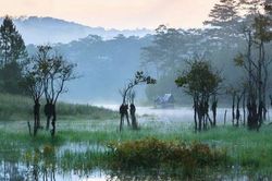 Vẻ đẹp yên bình hồ Tuyền Lâm
