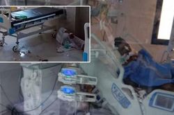 Bệnh nhân COVID-19 lăn từ trên giường xuống, làm ngắt nguồn oxy từ máy thở của chính mình