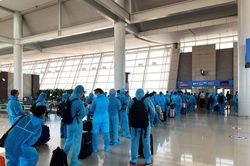 Hơn 280 công dân Việt Nam từ Mỹ về nước