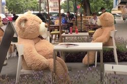 Dùng gấu Teddy khổng lồ để hạn chế lây nhiễm Covid-19