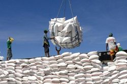 Nhiều mặt hàng nông lâm thủy sản xuất khẩu vượt 1 tỷ USD
