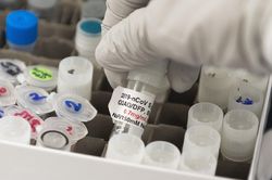 Mỹ thử nghiệm lâm sàng giai đoạn 3 với vắcxin ngừa virus SARS-CoV-2