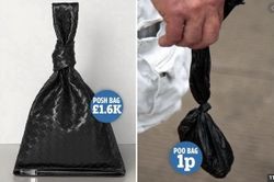 Túi hàng hiệu trị giá 1.650 bảng bị so sánh với túi đựng phân chó
