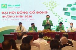 Tập đoàn Mai Linh phát triển hệ sinh thái vận tải đa dạng, chuyển đổi sang taxi công nghệ