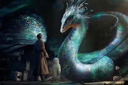 Harry Potter: Top 5 loại 'thú cưng' mà các phù thủy không nên nuôi