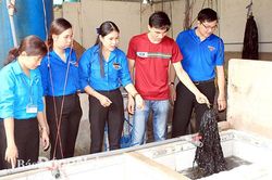 Quy chế cán bộ Đoàn TNCSHCM: Tạo động lực cho cán bộ Đoàn phấn đấu