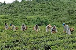 Giúp người nghiện ma túy làm lại cuộc đời