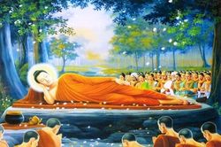 Ngoài tám Thánh đạo không có quả vị Sa-môn