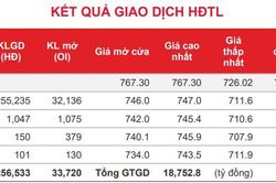 Phái sinh: Tâm lý lo ngại gia tăng, các hợp đồng tương lai giảm sâu