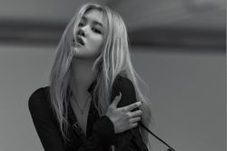 Rosé giúp hãng Saint Laurent tăng 1.000% lượt tìm kiếm