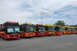 TPHCM tạm dừng xe khách liên tỉnh đến - đi từ TP Đà Nẵng
