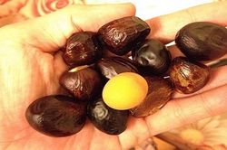 Khám phá đặc sản hạt mề gà ngon khó cưỡng của núi rừng Tây Bắc