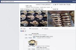 Xấu hổ vì cao hổ