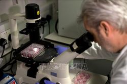 Anh ký thỏa thuận mua 60 triệu liều vaccine phòng COVID-19