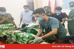 Đấu tranh phòng, chống tội phạm ma túy