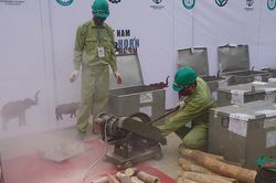 Quyết liệt đấu tranh chống buôn bán động vật hoang dã
