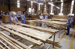 Đề xuất tháo gỡ tình trạng gỗ ván ghép bị ùn tắc tại các cảng biển