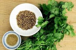 Những điều cấm kỵ khi ăn rau mùi