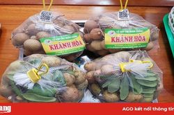 Chuyển đổi cây trồng phù hợp