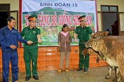 Binh đoàn 15 tặng bò giống sinh sản cho hộ nghèo vùng biên giới tỉnh Gia Lai