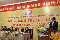 5 nhiệm vụ trọng tâm phát triển Tổng Công ty Nông nghiệp Sài Gòn - TNHH MTV