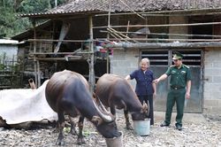 Công tác vận động quần chúng góp phần khẳng định 'thương hiệu' của BĐBP