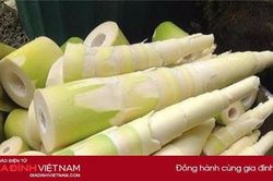 Mẹo bảo quan măng tươi được lâu mà không bị khô cứng