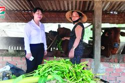 Kienlongbank giảm 50% lãi suất cho vay tại Đà Nẵng, Quảng Nam, Đăk Lăk