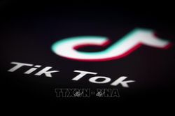 Giới lập pháp Mỹ hối thúc Bộ Tư pháp điều tra Zoom, TikTok