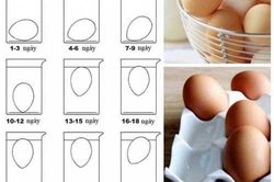 Mách bạn mẹ chọn trứng gà ngon, 10 quả trúng cả 10